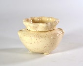 Miniature African Violet Pot Eggnog made to order 2 weeks