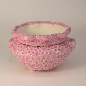 May include: A pink ceramic planter with a lacy design. The planter has two sections, one inside the other.