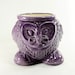 Wise Owl Planter African Violet Pot Purple