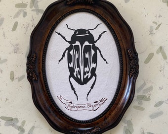 WATER BEETLE Papercut - Hand-Cut Silhouette, Framed