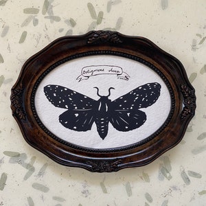 SALT MARSH MOTH Papercut Hand-Cut Silhouette, Framed image 1