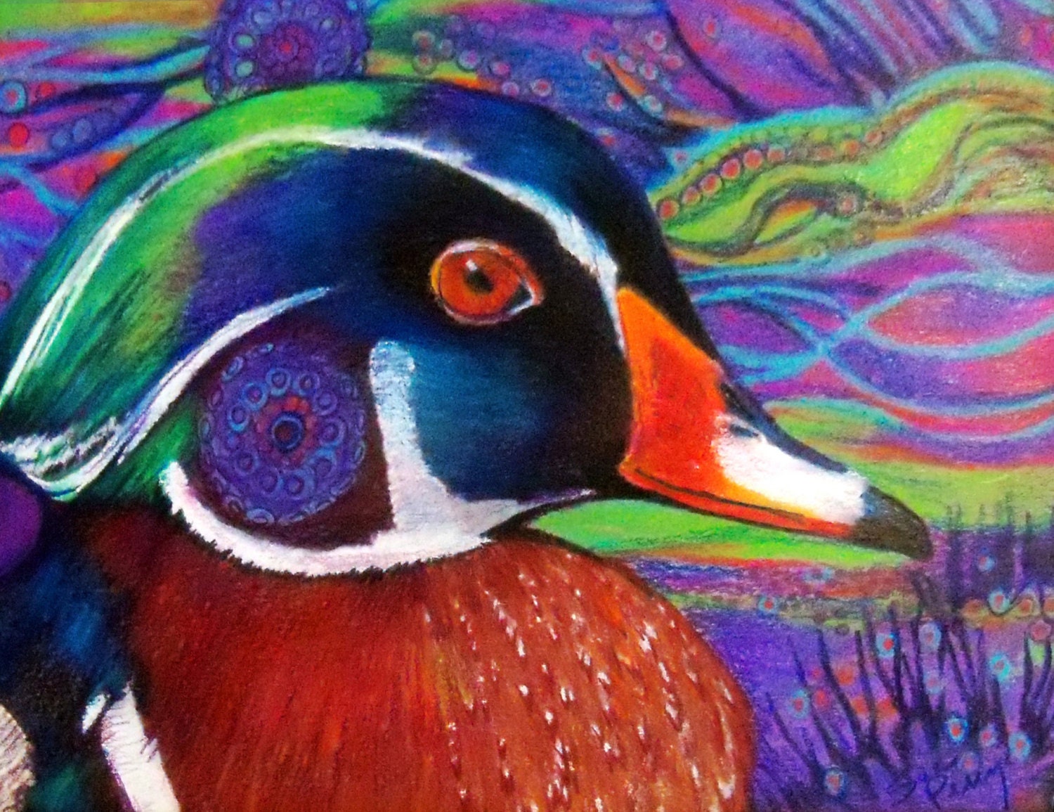 Original Art Color Pencil Drawing Colorful Zentangle Wood Duck - Etsy