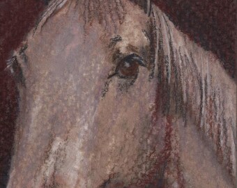 original art aceo drawing horse head
