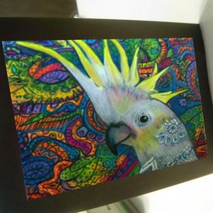 greeting card cockatoo parrot blank card