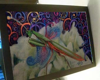 greeting card print of original art-  praying mantis  Zentangle