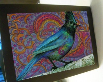special listing for 10 cards