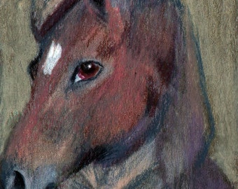 original art drawing aceo card animal portrait anthropomorphic horse
