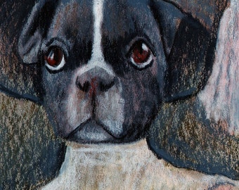 original art drawing aceo card puppy dog portrait anthropomorhic Boston terrier