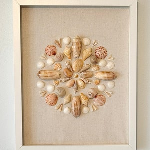 Seashell Shadow Box - Etsy