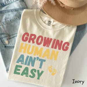 Comfort Colors Pregnancy Shirt, Funny Pregnancy Shirt, Funny Pregnancy Gift, Baby Announcement Bodysuit, Maternity Shirt, Mom To Be Shirt