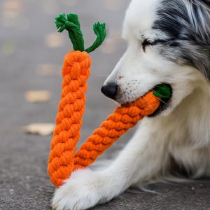 Carrot Dog Chew Toy – Durable Braided Rope Toy for Small & Medium Dogs – Interactive Play Toy for Puppies