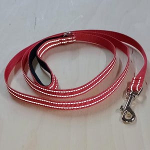Reflective Dog Leash – Durable Lead with Padded Handle for Small, Medium & Large Dogs – Night Safety Pet Leash
