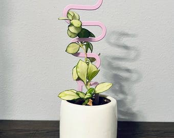 Squiggle Plant Trellis, Fun Colorful Decor