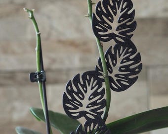 Enrejado de hojas de Monstera