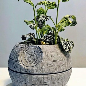 Puede incluir: Una maceta gris esférica, que recuerda a la Estrella de la Muerte, contiene una planta verde con hojas veteadas de blanco. La maceta tiene un diseño de superficie detallado y se encuentra sobre una superficie blanca. La maceta mide unos 20 cm de diámetro.