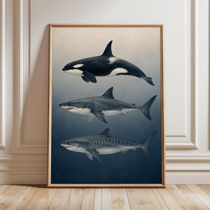 Può includere: Una stampa artistica da parete verticale incorniciata raffigurante tre animali marini disposti in colonna su uno sfondo sfumato blu. La figura in alto è un'orca bianca e nera, seguita da un grande squalo bianco grigio e uno squalo tigre.