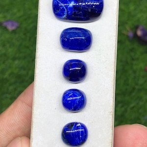 Zeldzame Hauyne Cabochon Kavel: 32,6 kt diep elektrisch blauwe edelstenen