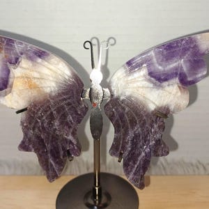 Butterfly Wings Shaped Carving includes Butterfly Stand