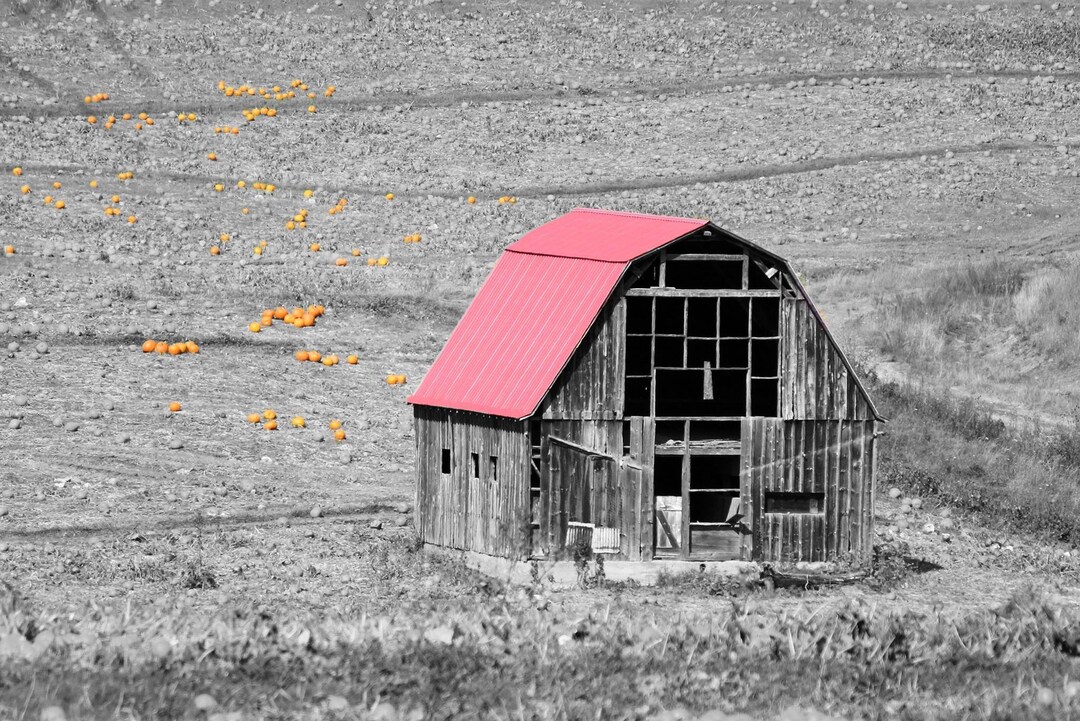 Black and White Barn With Red Roof - Etsy