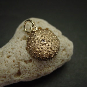 May include: A gold-coloured pendant shaped like a sea urchin, with a small gemstone set in the centre. The pendant hangs from a gold loop. The pendant is displayed on a piece of light-coloured coral.