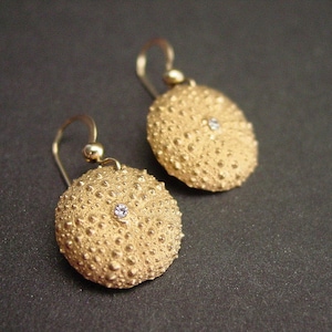 Pendientes de erizo de mar pequeños - Joyería artesanal de conchas marinas