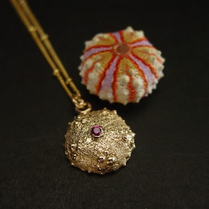 Sea Urchin Necklace with Ruby - Deep Water Urchin - Seashell Necklace