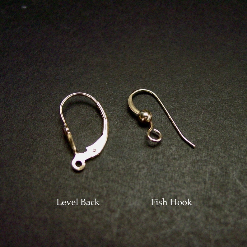 May include: Two earring hook styles: a level back and a fish hook. Both are silver in color.