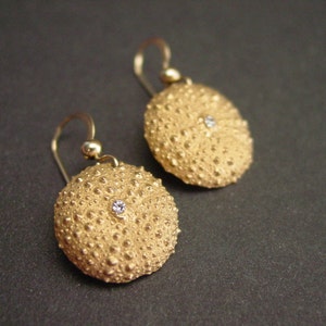 Small Sea Urchin Earrings - Seashell Earrings - Bijoux coquillage - Seeigel