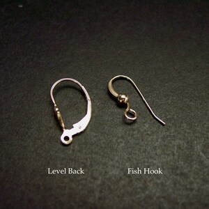 May include: Two silver earring findings are displayed against a dark background. One is a lever back style, and the other is a fish hook style. The text "Level Back" and "Fish Hook" are below each finding, respectively.