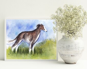 Long Haired Whippet Etsy