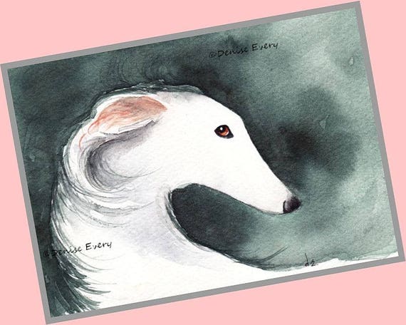 White Silken Windhound Long Haired Whippet Art Print Etsy