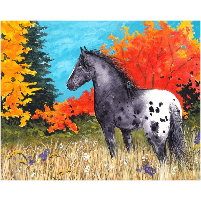 Black Blanket Appaloosa 11 X 14 & 16 X 20 Fine Art Prints Etsy
