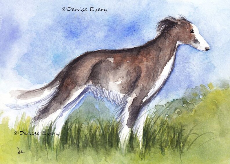 Brindle Long Haired Whippet Art Print Etsy