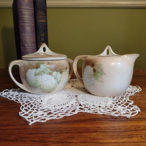 Vintage/Antique RS Germany Hand Painted Creamer and Sugar Set