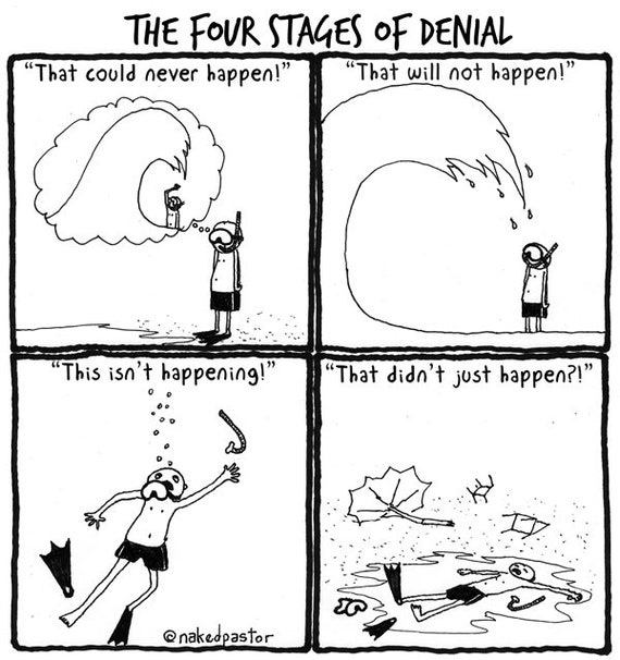 The Four Stages of Denial CARTOON | Etsy