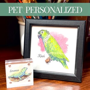 Custom Pet Portrait Of My Pet Memorial Custom Animal Picture Of My Pet Cartoon Portrait For My Pet Illustration Fun Pet Drawing Pet Custom