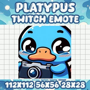 May include: A blue cartoon platypus with big eyes and a small camera in its hands. The platypus is holding the camera up to its face and smiling. The background is a grid pattern.