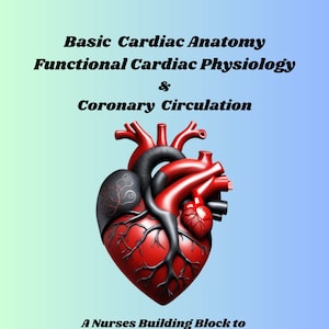 Anatomie cardiaque de base - Physiologie cardiaque fonctionnelle, performance cardiaque et circulation coronarienne