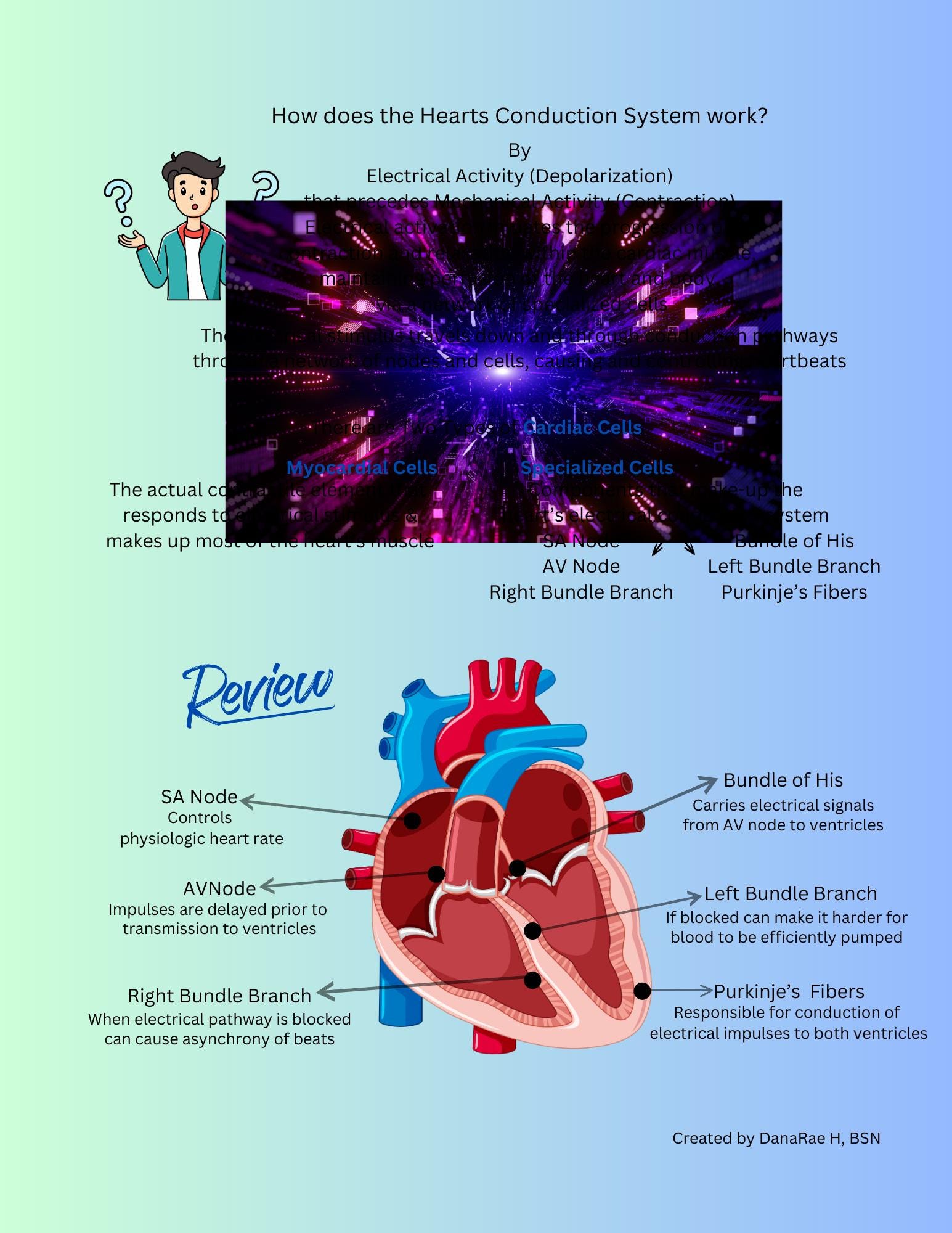 The Myocardial Conduction System - the Heart's Electrical System - A ...