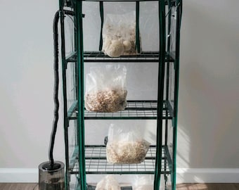 May include: A small, clear greenhouse with a green frame and clear plastic covering. Inside, there are four wire shelves holding clear plastic bags filled with a substrate. A black hose connects to a humidifier on the bottom shelf.