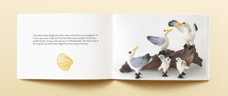 Flock Seagull Book A Feltmeupdesigns Guide to British Gulls image 8