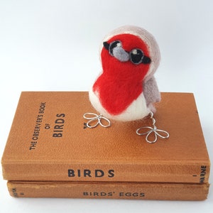 Needle Felted Robin Bird, Red Breasted European Robin image 3