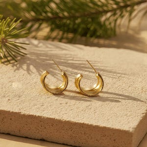May include: A pair of gold hoop earrings. Each earring has a thick, rounded design with a textured surface. The earrings are displayed on a light-coloured, textured surface, with a blurred green plant in the background.