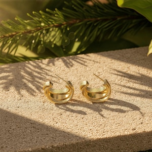 May include: A pair of gold hoop earrings. The earrings feature a textured outer band and a smooth inner band. They are presented on a light-coloured, textured surface, with green foliage in the background.