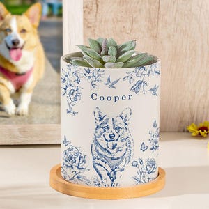 May include: A white ceramic plant pot with a blue floral and corgi design, featuring the name "Cooper." The pot holds a succulent and sits on a wooden saucer. A corgi is in the background.