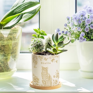 May include: A white ceramic planter with a cat illustration and the name "Stella" in gold lettering. The planter holds a variety of succulents and cacti. The planter sits on a wooden saucer, with other potted plants in the background.