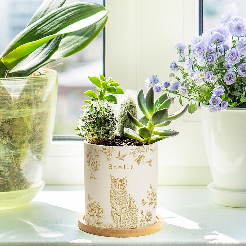 May include: A white ceramic planter with a cat illustration and the name "Stella" in gold lettering. The planter holds a variety of succulents and cacti. The planter sits on a wooden saucer, with other potted plants in the background.