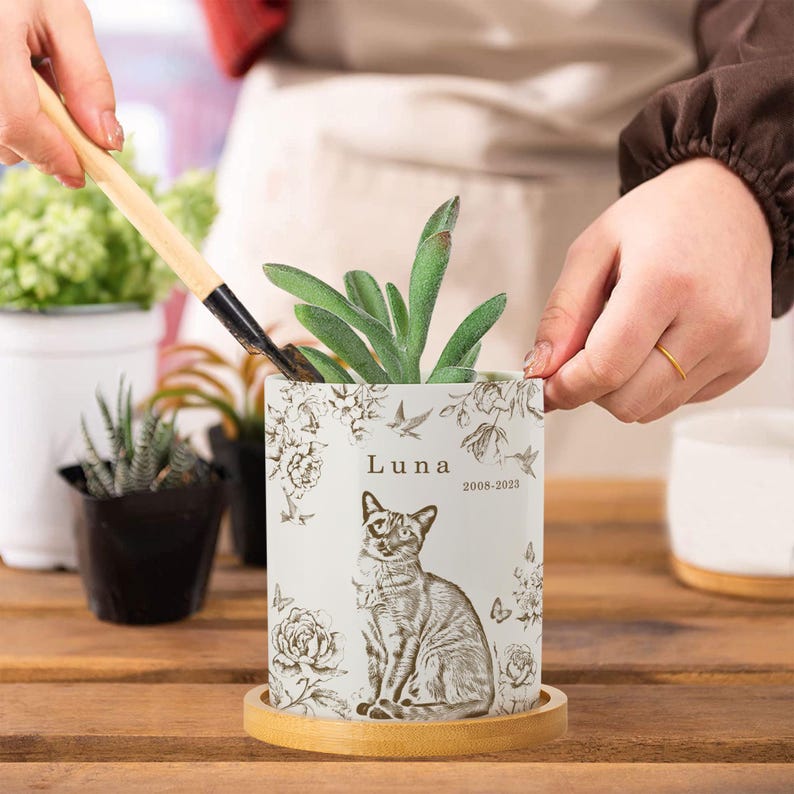 May include: A white ceramic planter with a cat illustration, floral accents, and the name "Luna" with dates. The planter holds a green succulent and sits on a bamboo saucer. Other small potted plants are in the background.