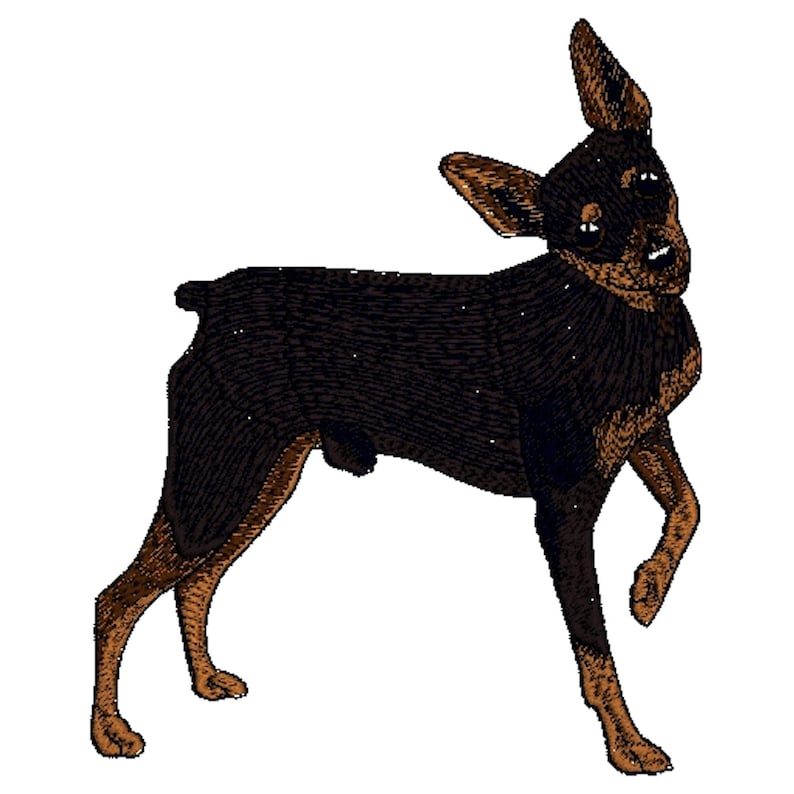 Mini Pinscher Dog Embroidered Towels Dog Towels Personalised Etsy