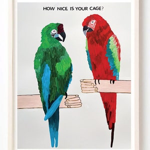 Art, Humour, Musique, Art mural unique, Perroquets, Oiseaux, Excentrique, Comment belle est votre cage - Impression d’art